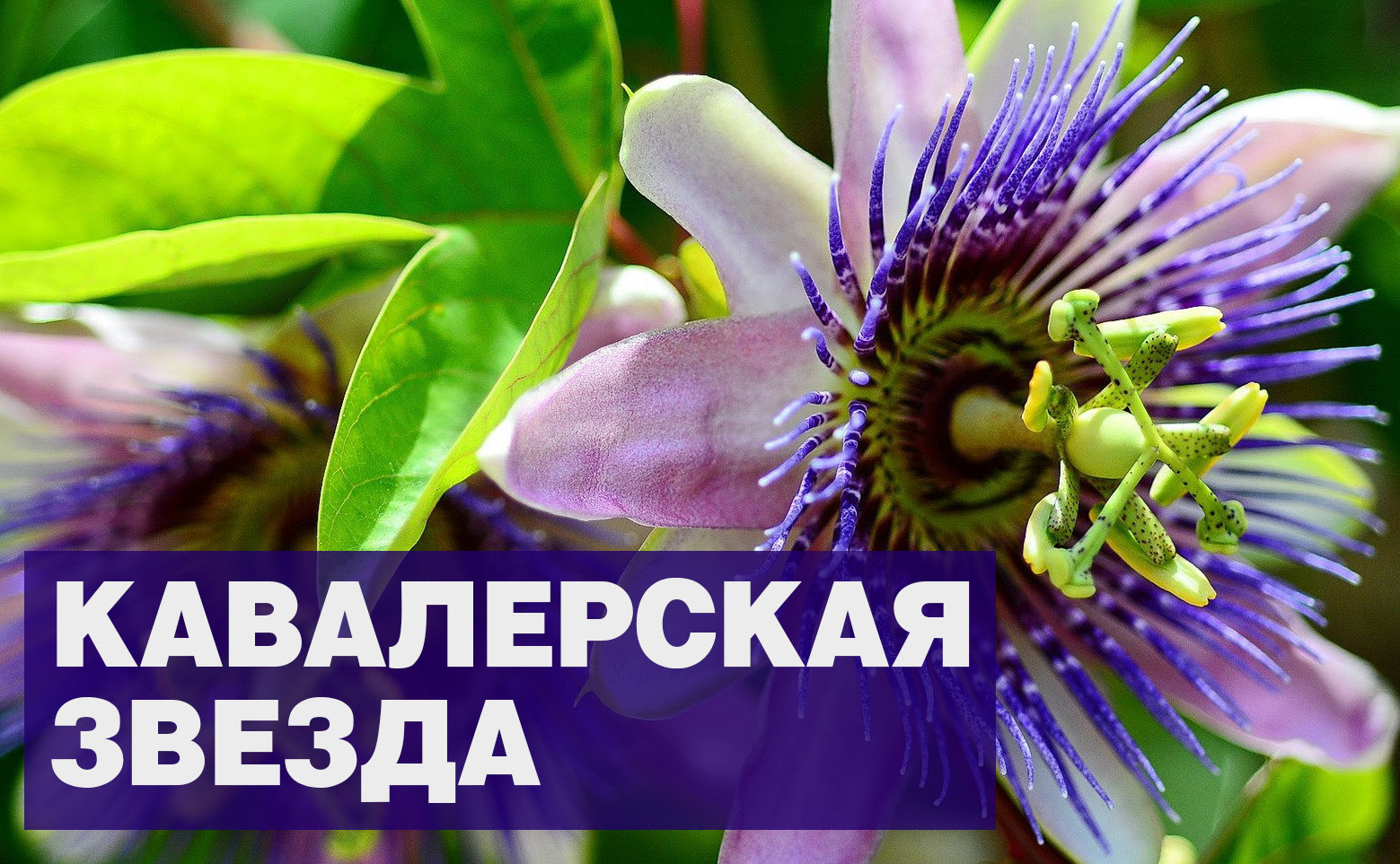 Урал АРГО в Екатеринбурге